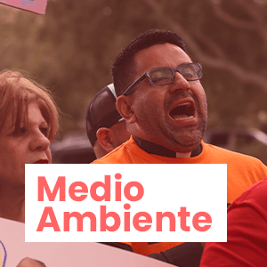 Medio Ambiente