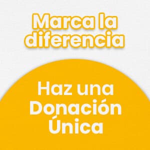 Donación Única